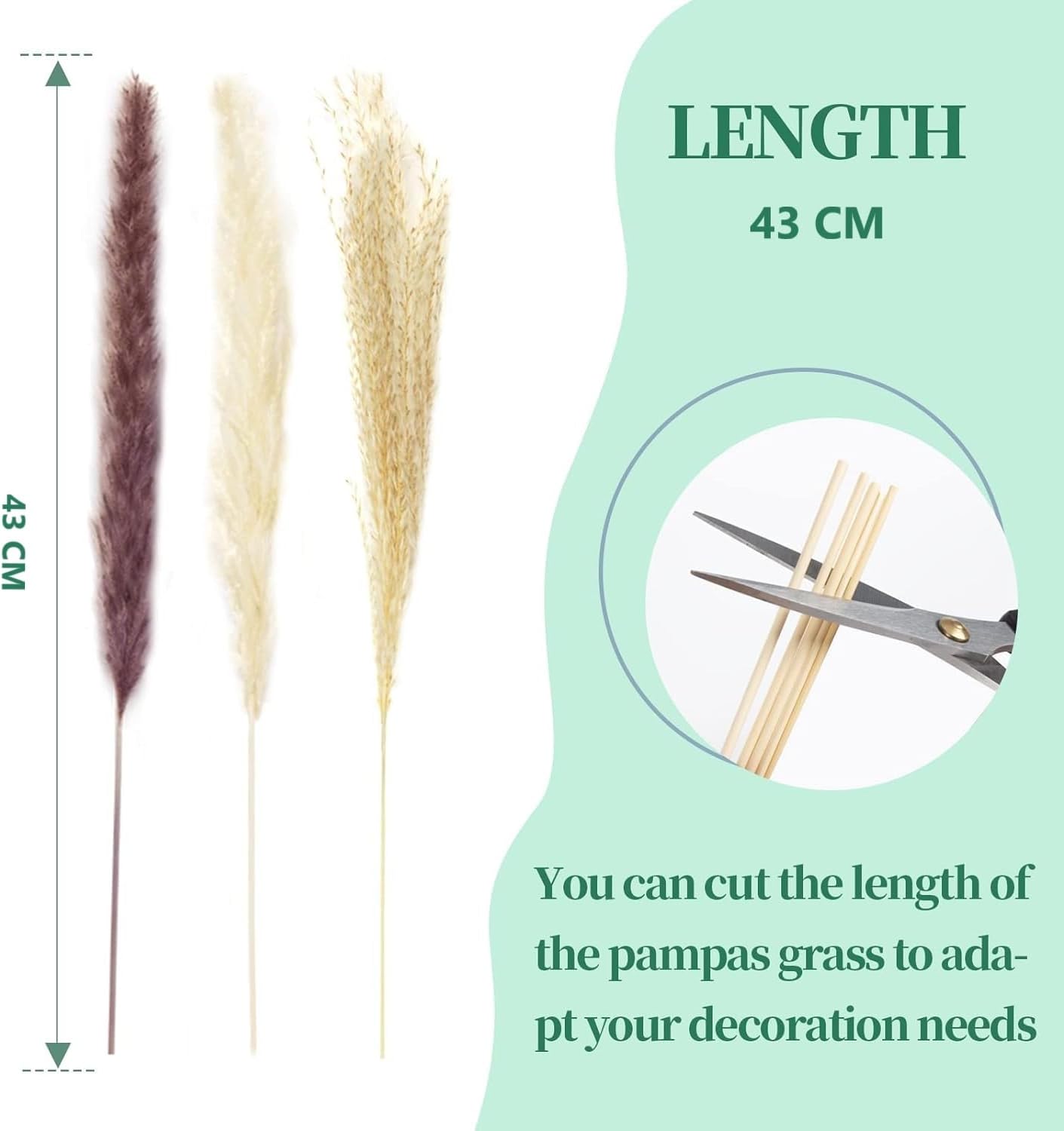 باقة عشب بامباس الطبيعية المجففة من SKY-TOUCH: ترتيبات زهور بامباس باللون البني والأبيض من القصب لتزيين غرفة المنزل والمكتب (60 قطعة)