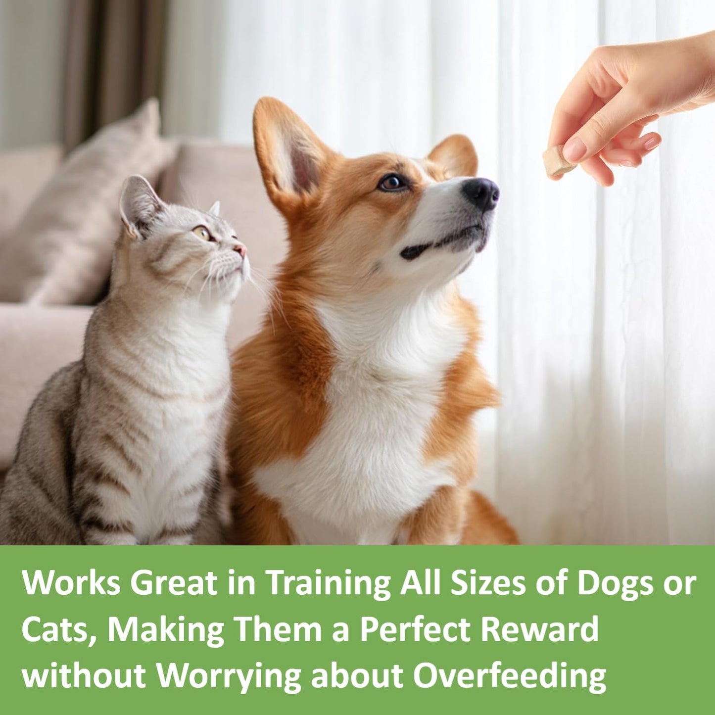 SKY-TOUCH Freeze Dried Dog and Cat Treats, 80g Resealable Value Pack, 100% Chicken, Single Ingredient Natural Healthy Training Treats & Food Topper, High Protein Raw Pet Snacks, No Additives