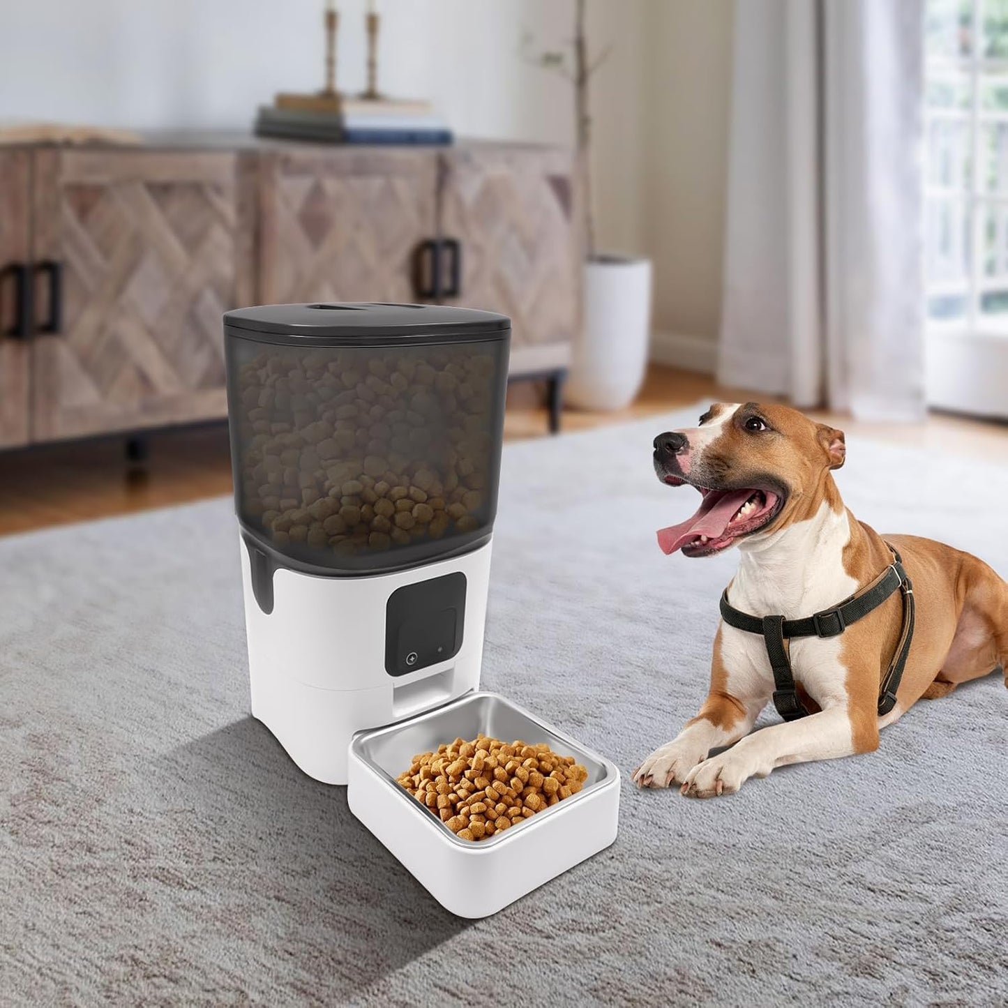 SKY-TOUCH Smart Automatic Cat Feeders: WiFi Pet Feeder with APP Control for Remote Feeding, Detachable for Easy Clean, Automatic Cat Food Dispenser with Alexa,1-30 Meals Per Day for Dog (6L/25Cup)