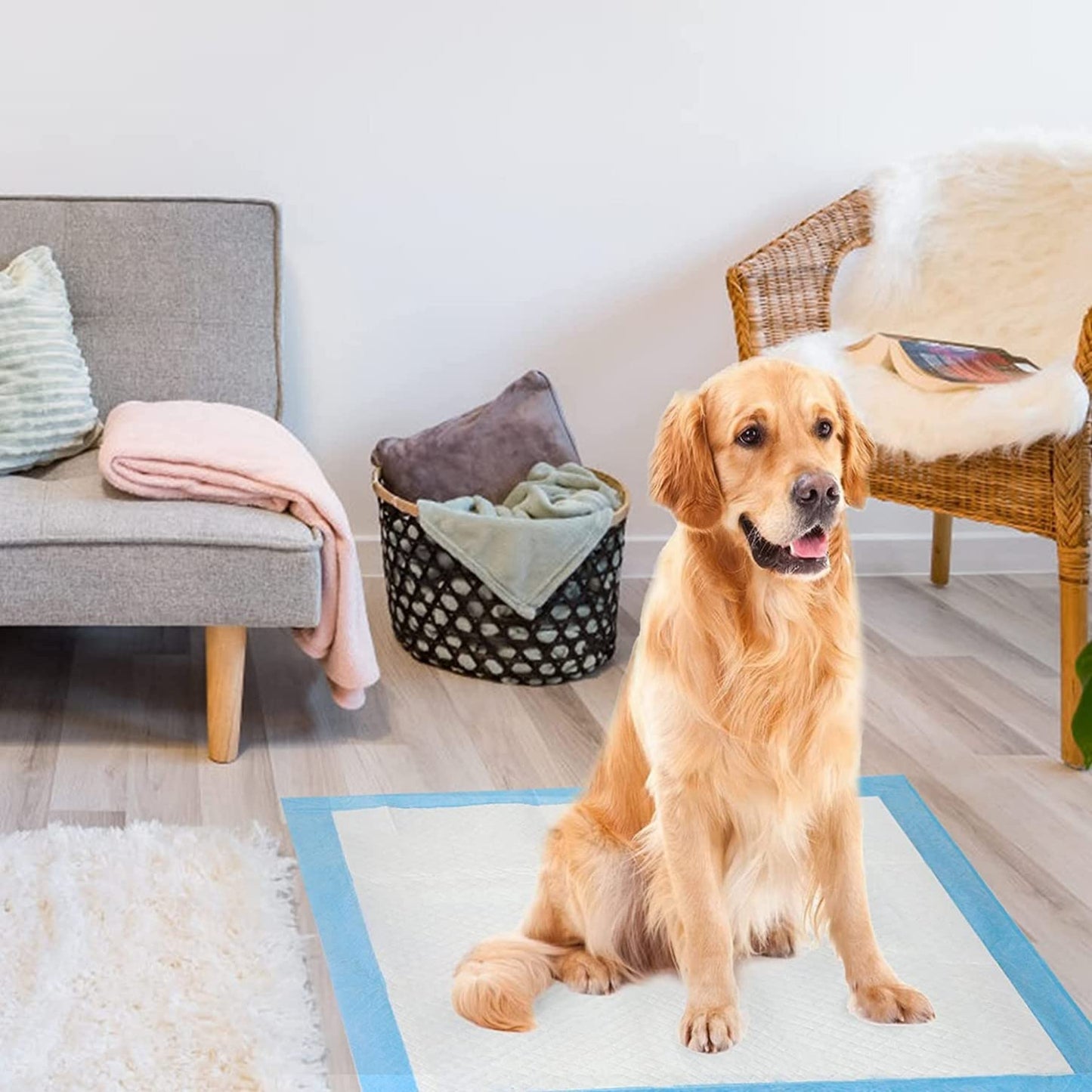 SKY-TOUCH Disposable Dog Training Pads 60X90cm, Absorbent Quick Drying Leak-Proof Pee Pads with 5 Highly Absorbent Layers, Puppy Pads For Potty Training For Pets, 40 Pieces