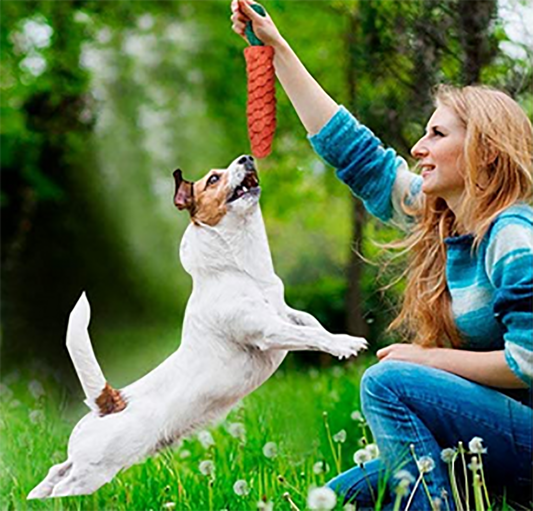 SKY-TOUCH 10pcs Pet Cotton Rope Dog Toy,Pet Puppy Toys Gift Set Combination Ball Doll Carrot Pattern,Harmless Puppy Chew Teeth Training Toys for Dog Cat Colorful