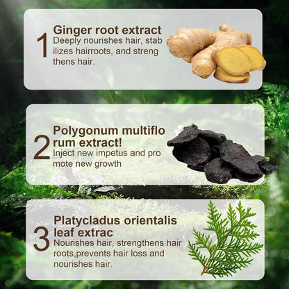 SKY-TOUCH Ginger Anti-Hair Loss Shampoo Set for Hair Growth and Hair Fall Control, Organic Anti Hair Loss Shampoo, Cleanse Moisturize Hair and Keep Scalp Health, 380ml + 5ml x 12 Bottle for Men Women