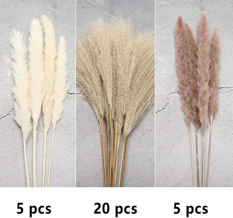 SKY-TOUCH Natural Dried Pampas Grass Bouquet : Brown White Reed Pampas Floral Arrangements Decorations for Home Room Office Party Decor (60PCS)