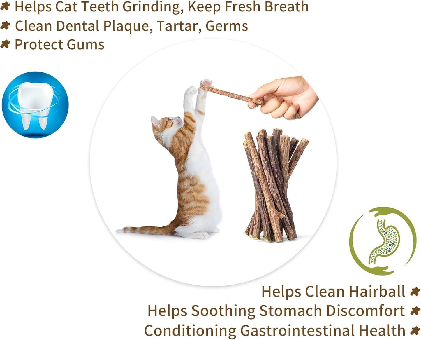 SKY-TOUCH 10pcs Catnip Dental Chew Sticks for Cats – Natural Wood Catnip Teething Chew Toys, Dental Care & Entertainment for Cats