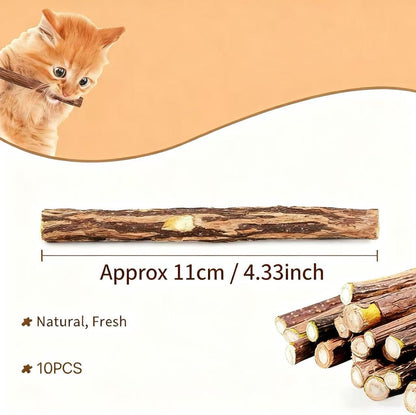 SKY-TOUCH 10pcs Catnip Dental Chew Sticks for Cats – Natural Wood Catnip Teething Chew Toys, Dental Care & Entertainment for Cats