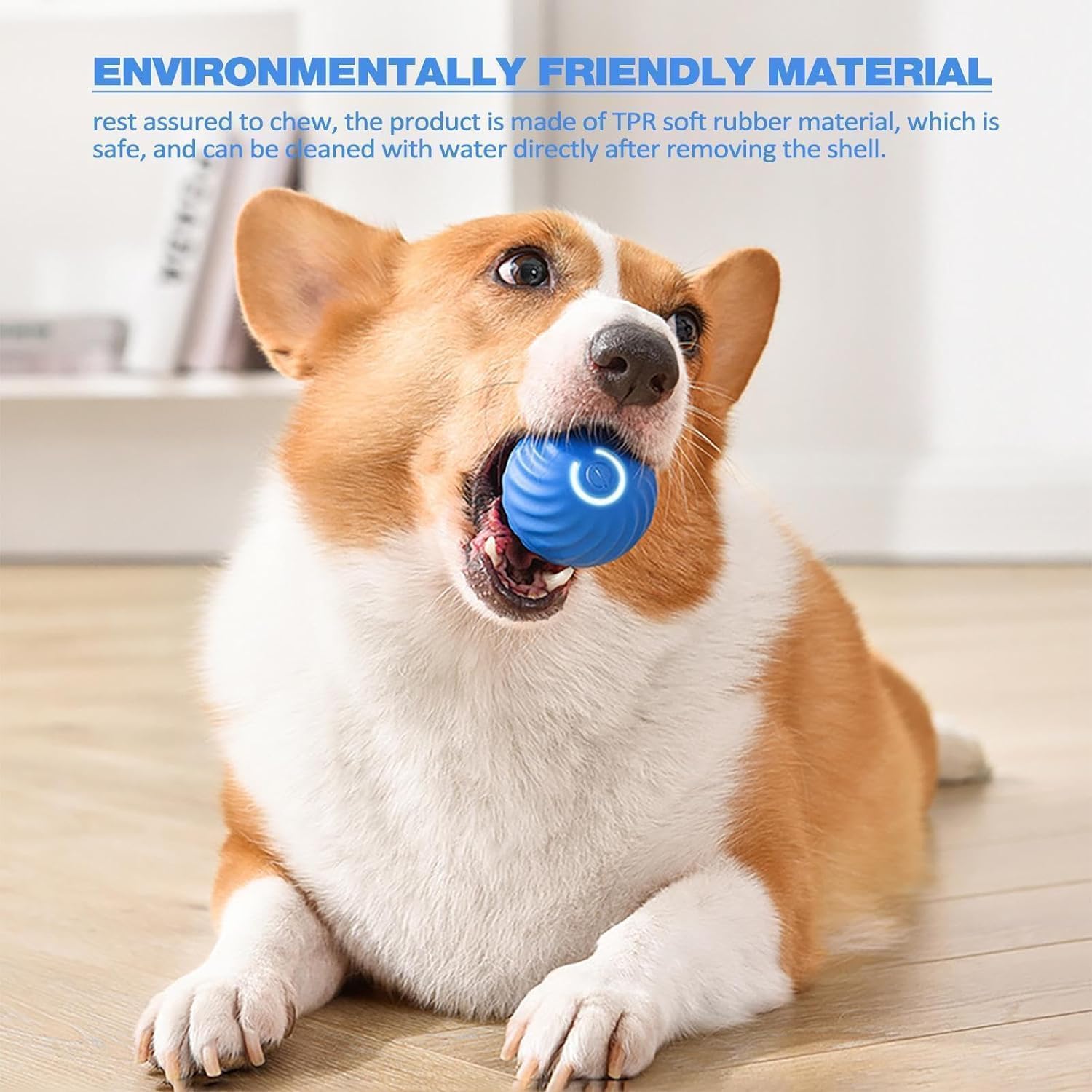 Motion ball dog toy best sale