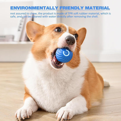 SKY-TOUCH INTERACTIVE DOG BALL TOY, Smart Self-Moving Ball with 2 Modes Long Battery Life, New Electric Intelligent Teasing Cat Ball, Rechargeable Cat Toys Balls for Indoor Cats, Dogs, Pets,Blue