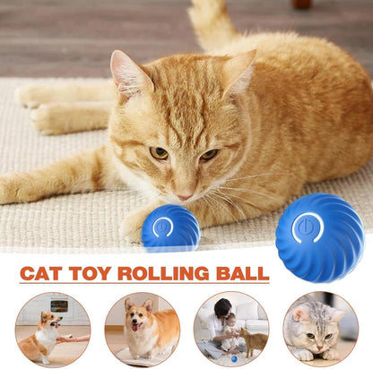 SKY-TOUCH INTERACTIVE DOG BALL TOY, Smart Self-Moving Ball with 2 Modes Long Battery Life, New Electric Intelligent Teasing Cat Ball, Rechargeable Cat Toys Balls for Indoor Cats, Dogs, Pets,Blue