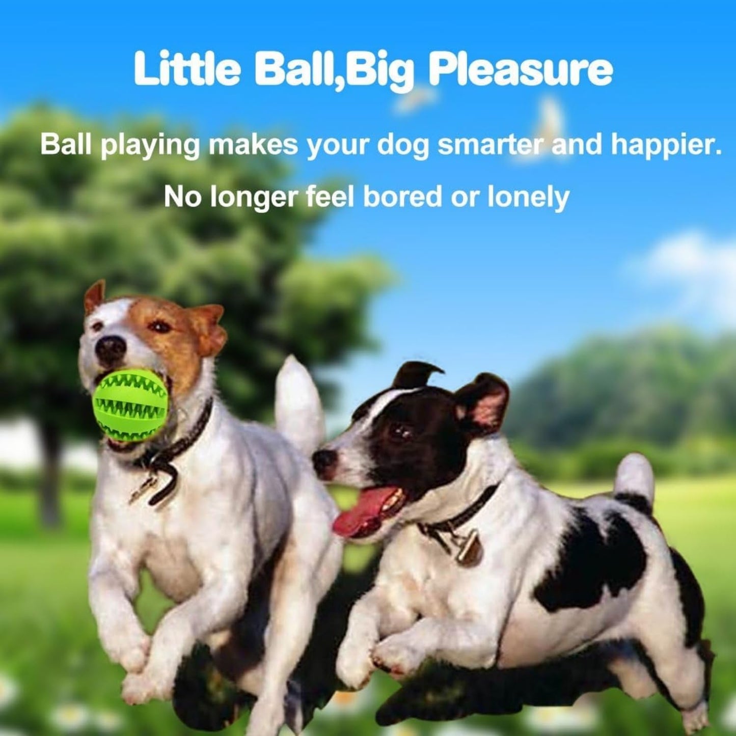 SKY-TOUCH Dog Toy Ball 7cm, Dog Tooth Cleaning Toy, Puppy Teething Chew Toy Balls, Ball Toys for Pet Tooth Cleaning Chewing Fetching Exercise Game IQ Training (Pack of 1)