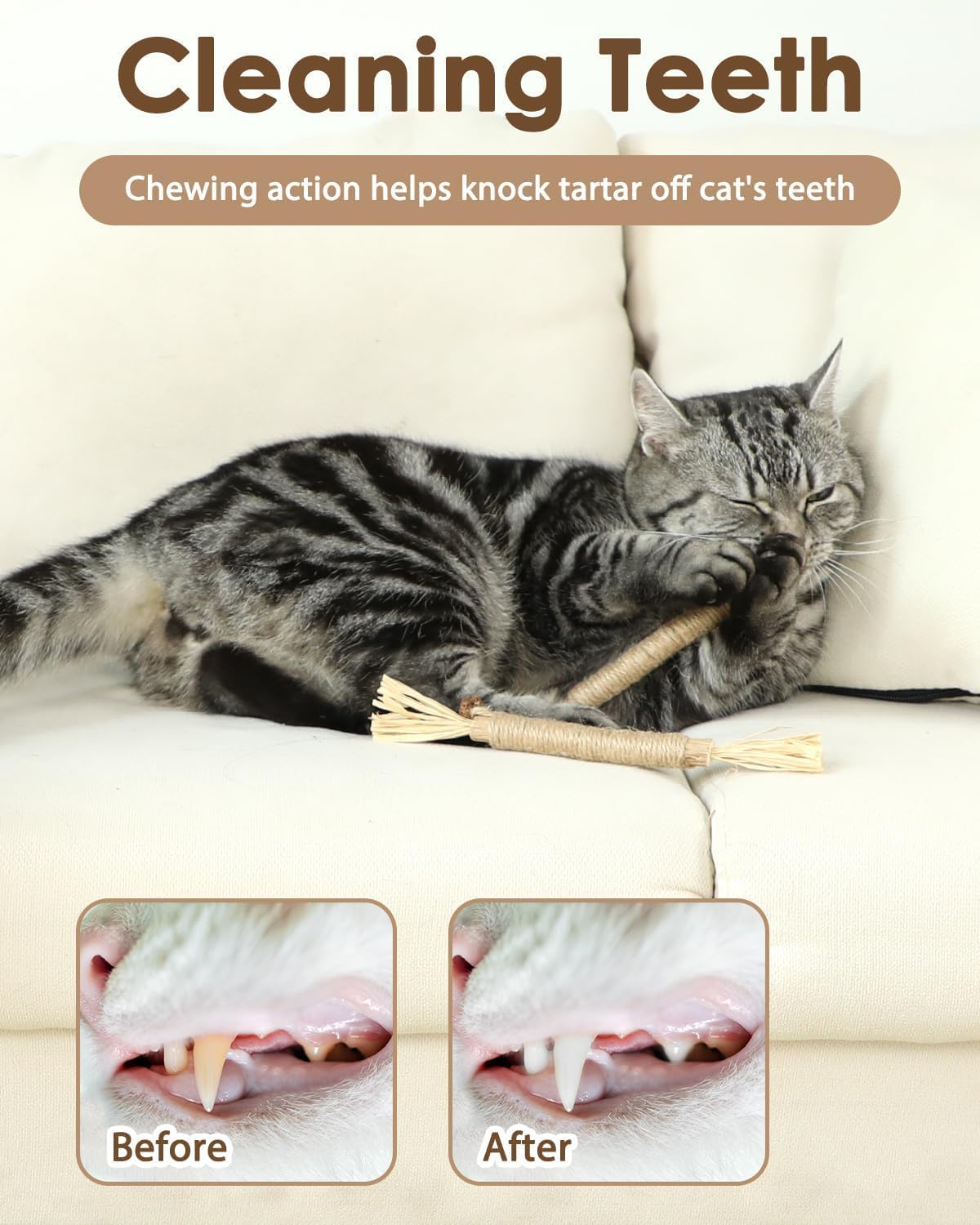 SKY-TOUCH 3 PCS Cat Chew Sticks Toys, Natural Cat Teeth Nip Cleaning Teeth Chew Catnip Chew Toys for Kitty Dental Treat Interactive Toy