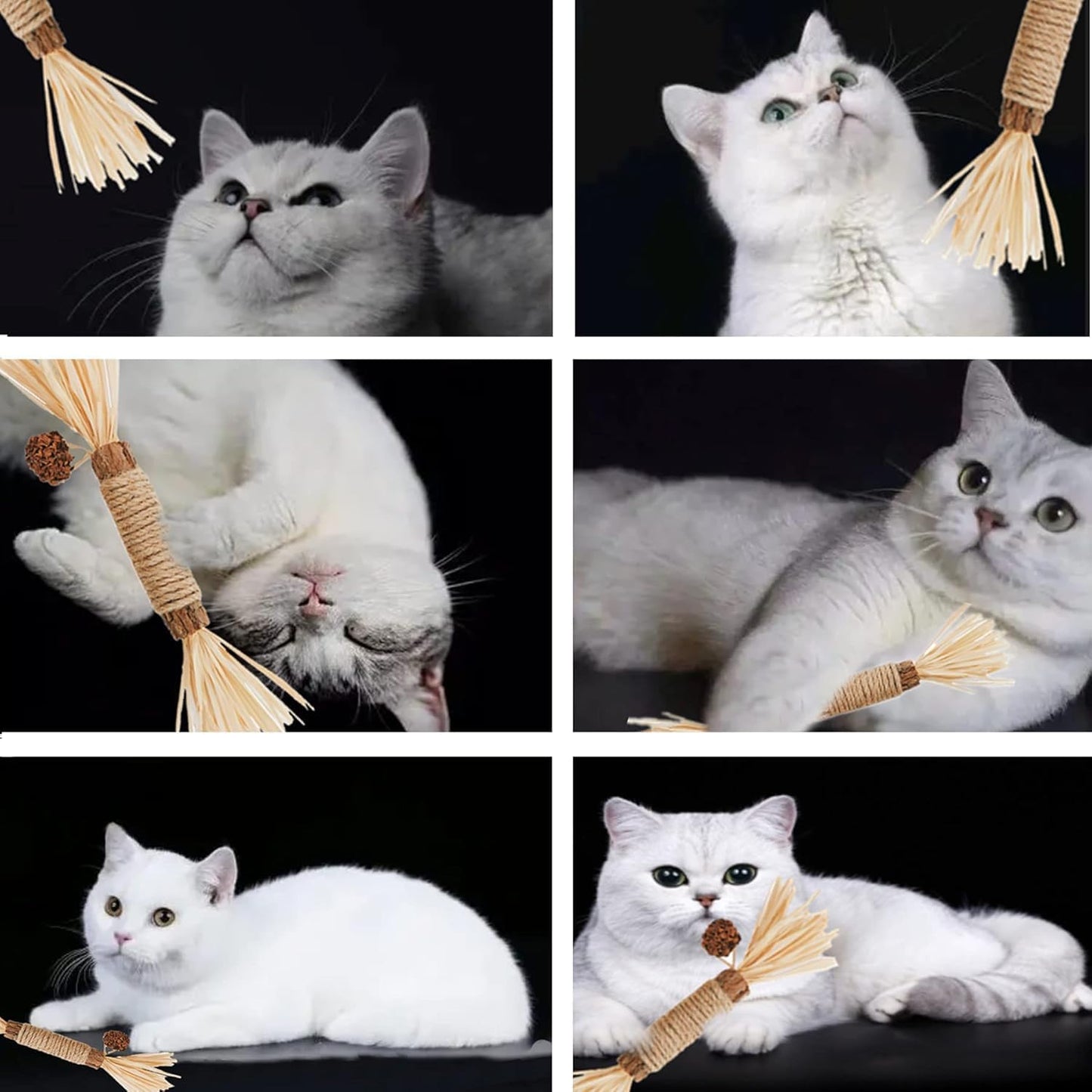 SKY-TOUCH 3 PCS Cat Chew Sticks Toys, Natural Cat Teeth Nip Cleaning Teeth Chew Catnip Chew Toys for Kitty Dental Treat Interactive Toy