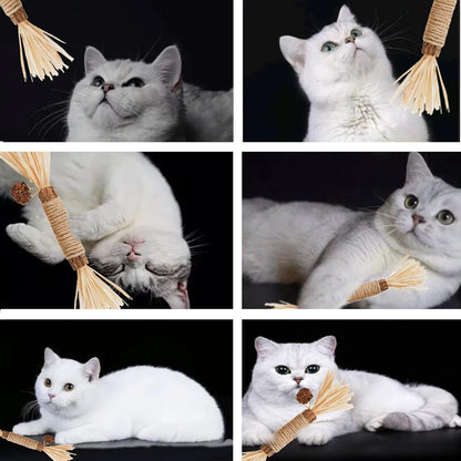 SKY-TOUCH 3 PCS Cat Chew Sticks Toys, Natural Cat Teeth Nip Cleaning Teeth Chew Catnip Chew Toys for Kitty Dental Treat Interactive Toy