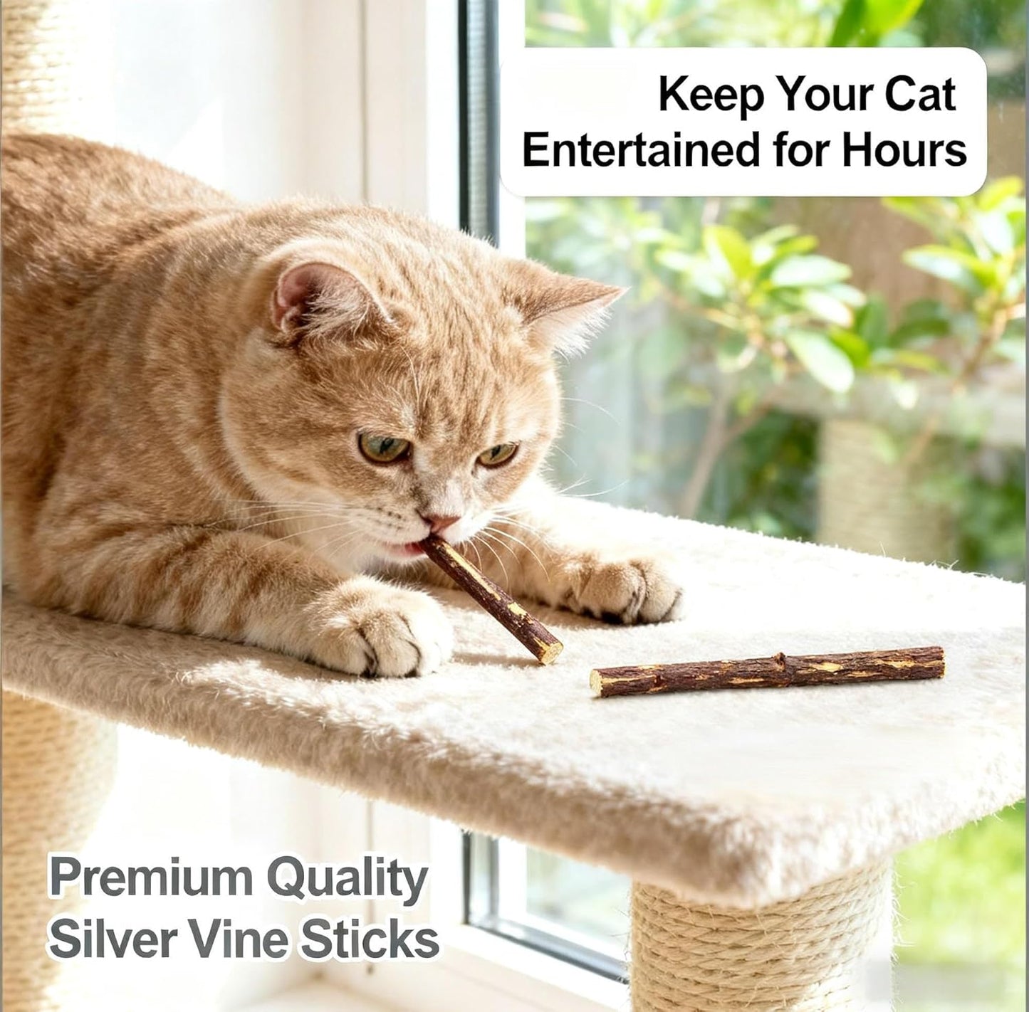 SKY-TOUCH 10pcs Catnip Dental Chew Sticks for Cats – Natural Wood Catnip Teething Chew Toys, Dental Care & Entertainment for Cats