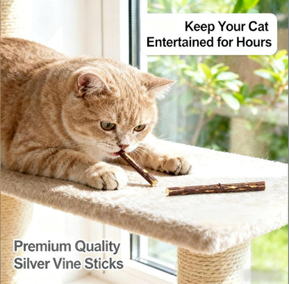 SKY-TOUCH 10pcs Catnip Dental Chew Sticks for Cats – Natural Wood Catnip Teething Chew Toys, Dental Care & Entertainment for Cats