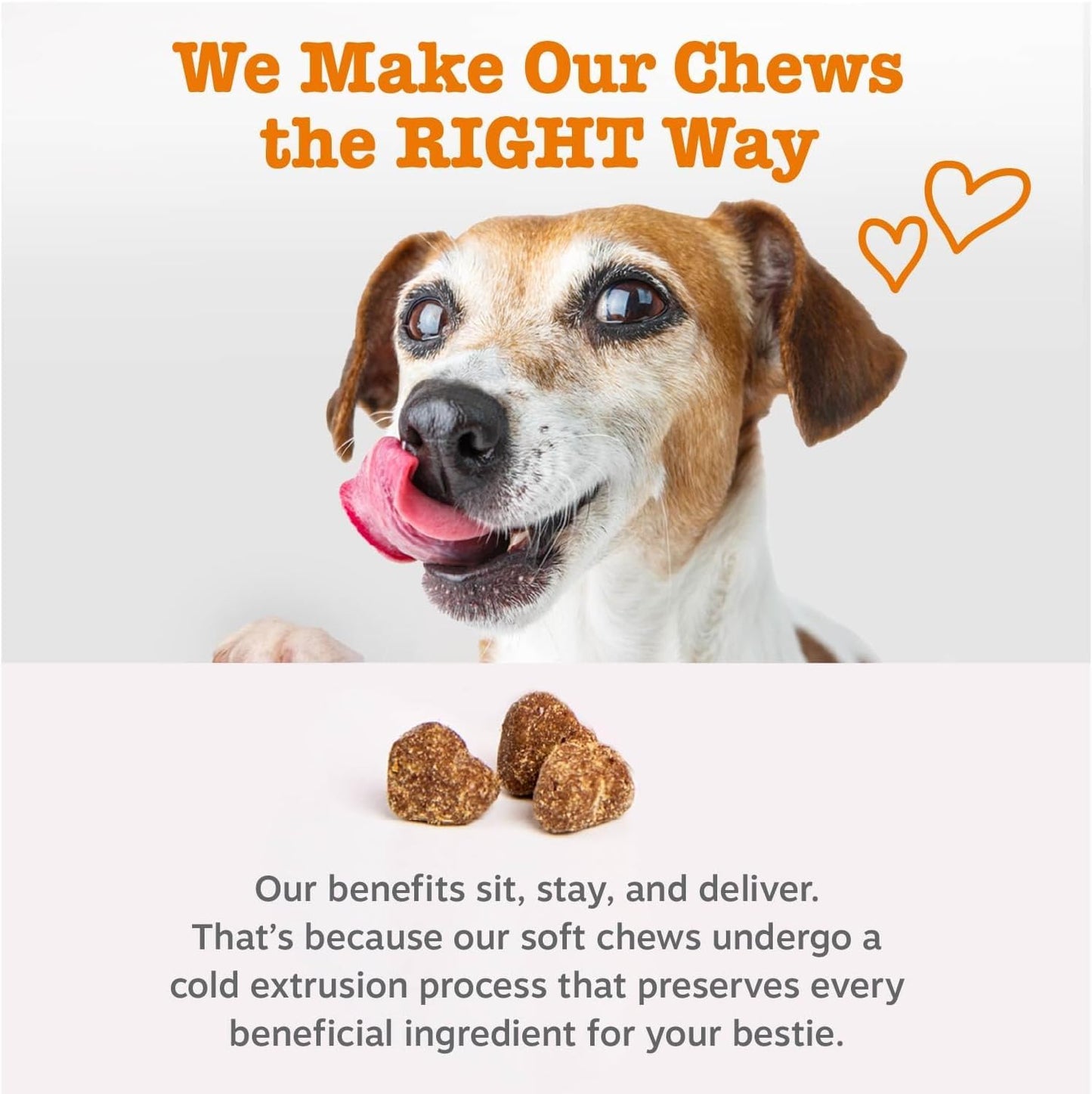 SKY-TOUCH 8-in-1 Multivitamin Chewable Gummies for Cats and Dogs – Supports Hip, Joint, Skin, and Coat Health Suitable for Cats and Dogs (Including Seniors) Chicken 120ct