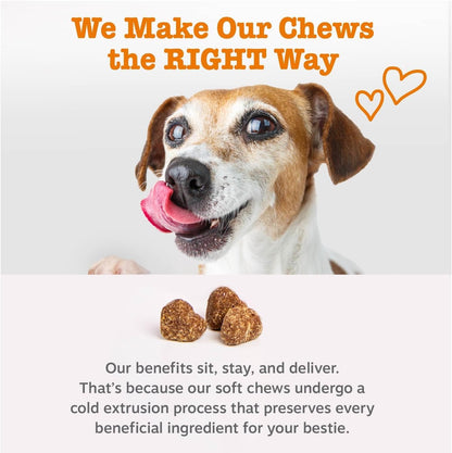 SKY-TOUCH 8-in-1 Multivitamin Chewable Gummies for Cats and Dogs – Supports Hip, Joint, Skin, and Coat Health Suitable for Cats and Dogs (Including Seniors) Chicken 120ct