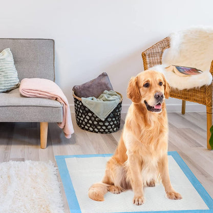 SKY-TOUCH Disposable Dog Training Pads 60X90cm, Absorbent Quick Drying Leak-Proof Pee Pads with 5 Highly Absorbent Layers, Puppy Pads For Potty Training For Pets, 40 Pieces