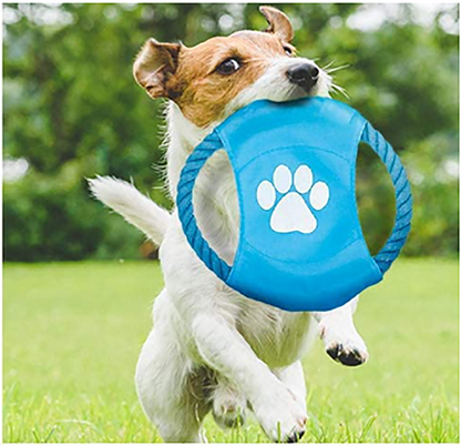 SKY-TOUCH 10pcs Pet Cotton Rope Dog Toy，Pet Puppy Toys Gift Set Combination Ball Doll Carrot Pattern，Harmless Puppy Chew Teeth Training Toys for Dog Cat Colorful